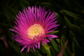 Enlarge photo 38