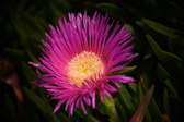 Enlarge photo 39