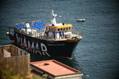 Enlarge photo 46