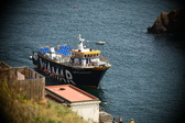 Enlarge photo 48