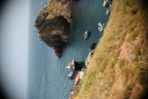 Enlarge photo 52