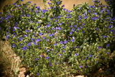 Enlarge photo 55