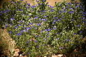 Enlarge photo 56