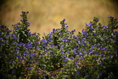 Enlarge photo 57