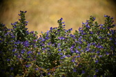 Enlarge photo 58