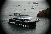 Enlarge photo 76