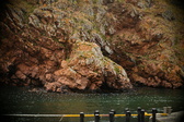 Enlarge photo 80