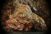 Enlarge photo 81