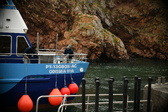 Enlarge photo 85