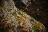 Enlarge photo 86
