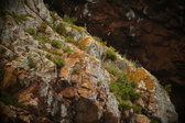 Enlarge photo 87