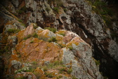 Enlarge photo 88