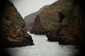 Enlarge photo 90