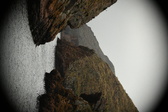 Enlarge photo 92