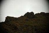 Enlarge photo 99