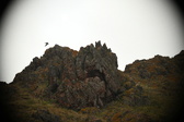 Enlarge photo 100
