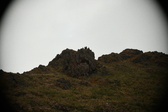 Enlarge photo 105