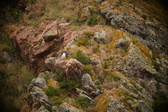 Enlarge photo 106