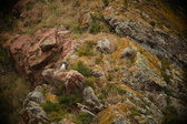 Enlarge photo 107