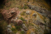 Enlarge photo 108