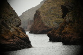 Enlarge photo 110