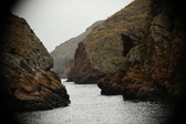 Enlarge photo 111