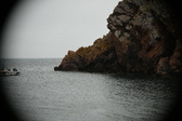 Enlarge photo 113