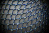 Enlarge photo 135
