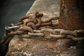 Enlarge photo 146