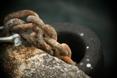 Enlarge photo 149