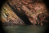 Enlarge photo 152