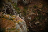 Enlarge photo 155