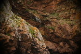 Enlarge photo 156
