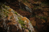 Enlarge photo 157