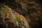 Enlarge photo 158