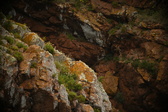 Enlarge photo 159
