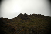 Enlarge photo 161