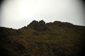 Enlarge photo 162