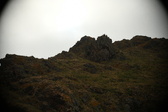 Enlarge photo 163