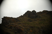 Enlarge photo 164