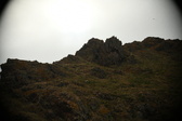 Enlarge photo 166