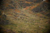Enlarge photo 167