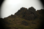 Enlarge photo 169