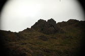 Enlarge photo 170