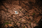 Enlarge photo 174