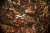 Enlarge photo 176