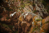 Enlarge photo 178