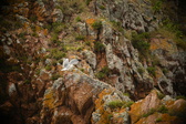 Enlarge photo 179
