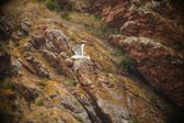 Enlarge photo 180