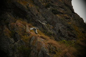 Enlarge photo 182